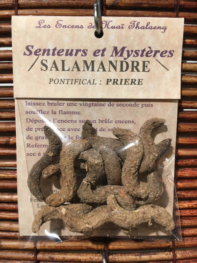 SALAMANDRE