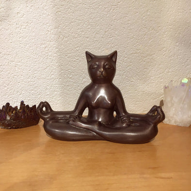 Yoga cat